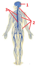 0901o98c-ce8d-126x219.png