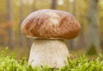 0901obbw-c9f7-148x103.png