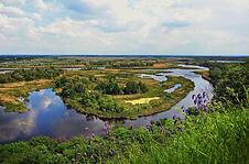 0901odgr-3d10-226x149.jpg