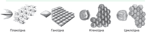 0901oe77-c450-509x115.png