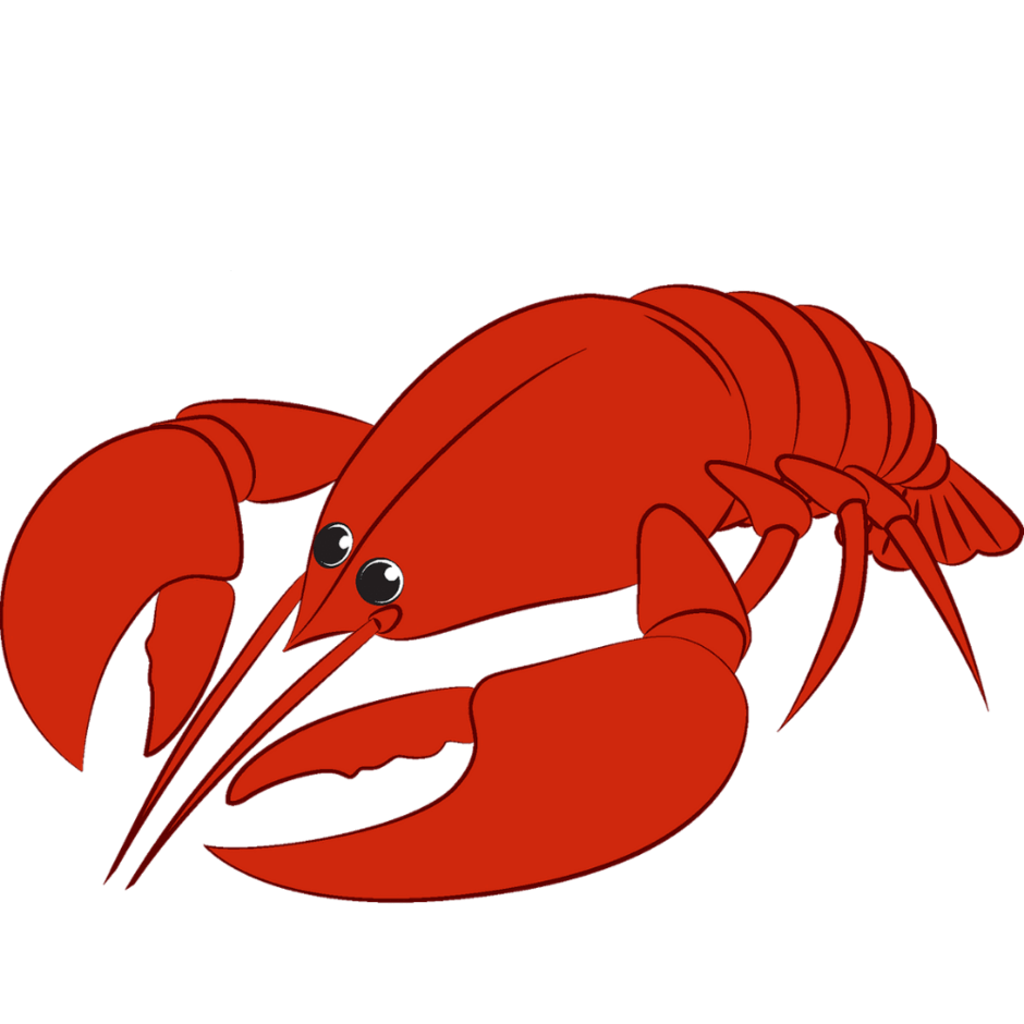 0901oel2-0d18-940x940.png
