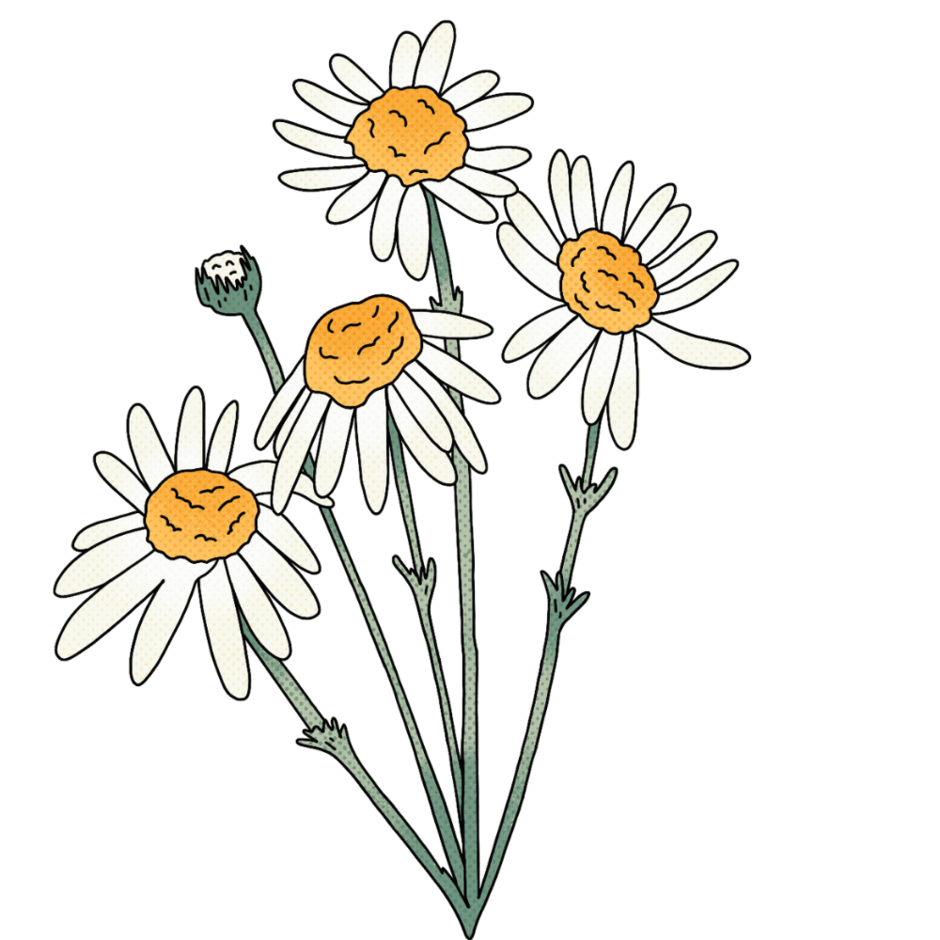 0901oeni-670d-940x940.png
