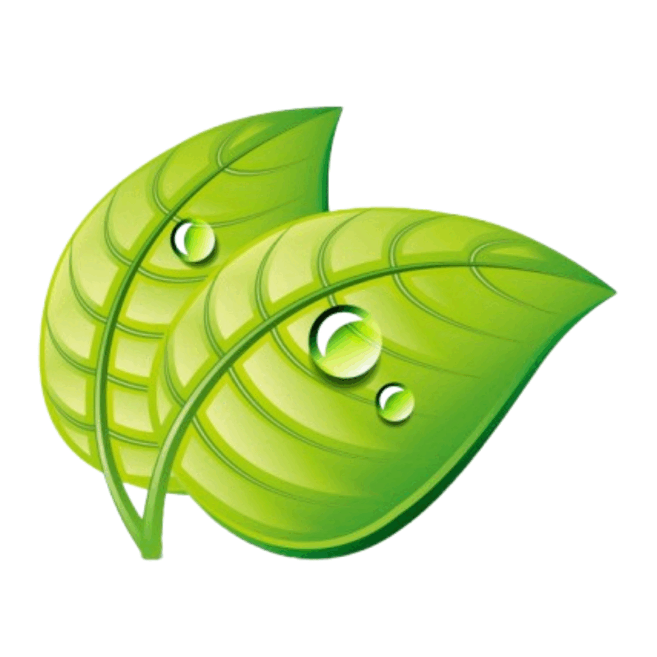 0901oeo1-c351-940x940.png