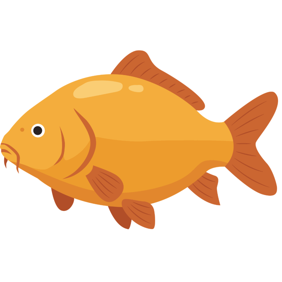 0901oeom-0a31-940x940.png