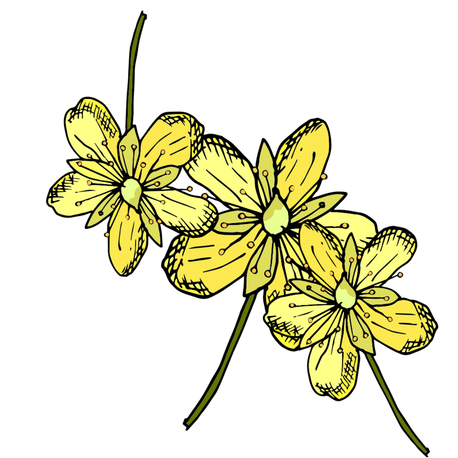 0901oeop-0e66-940x940.png