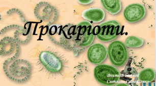 Прокаріоти.