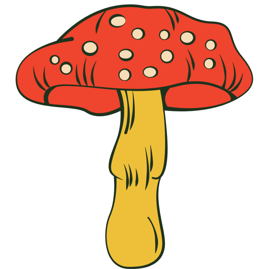 0901ofd0-4dc9-940x940.png