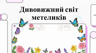 Дивовижний світ метеликів: факти, таємниці та природна краса