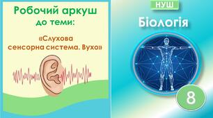Робочий аркуш до теми “Слухова сенсорна система. Вухо”. Біологія 8 клас НУШ