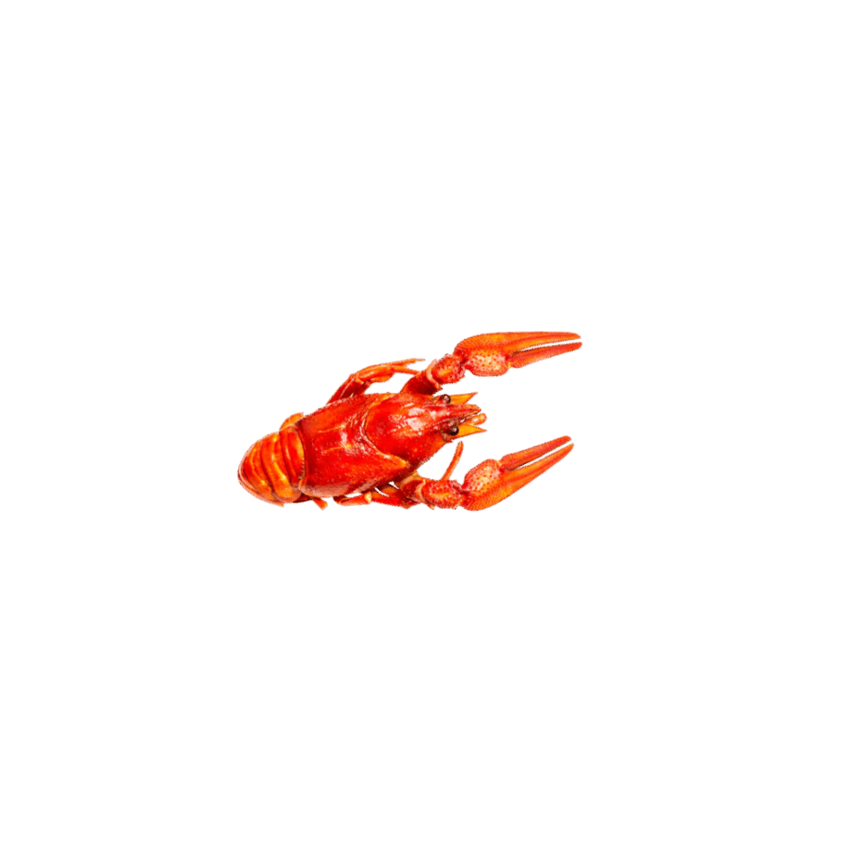 0901olb2-fa66-940x940.png