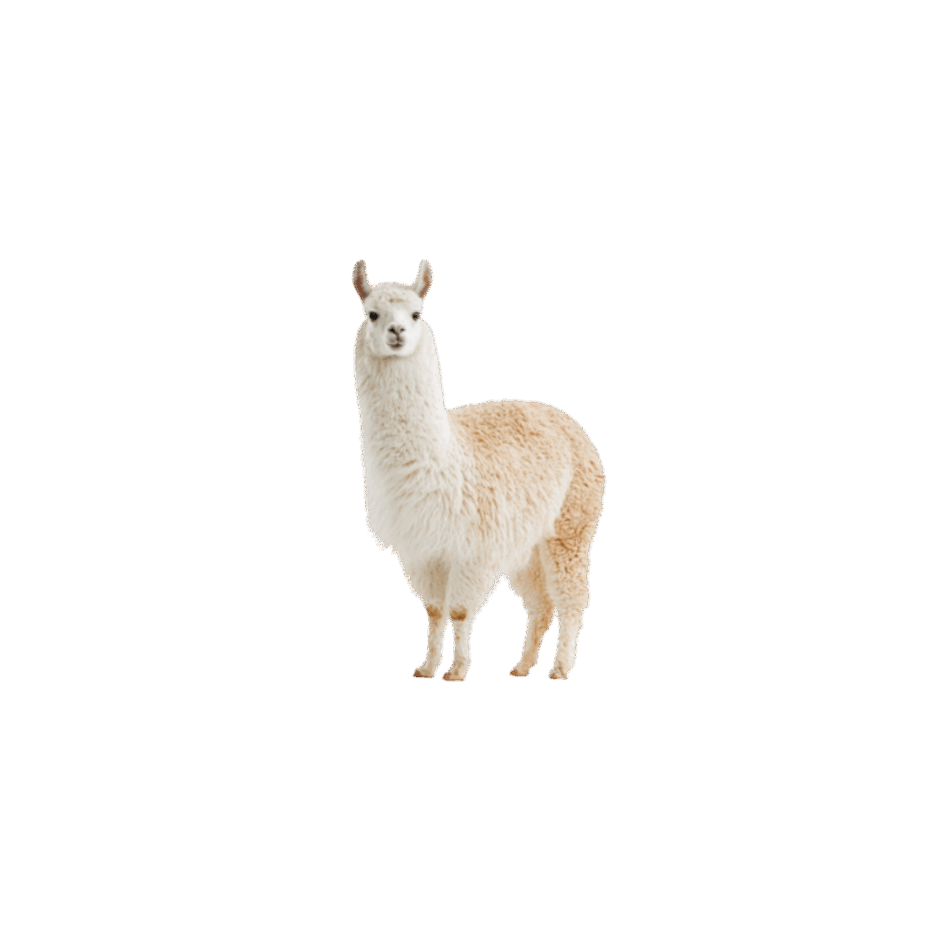 0901olch-9cb9-940x940.png