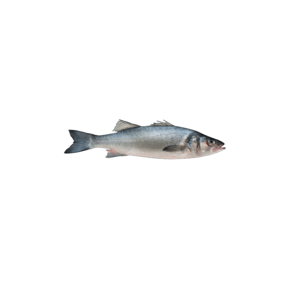 0901olkv-9d29-940x940.png