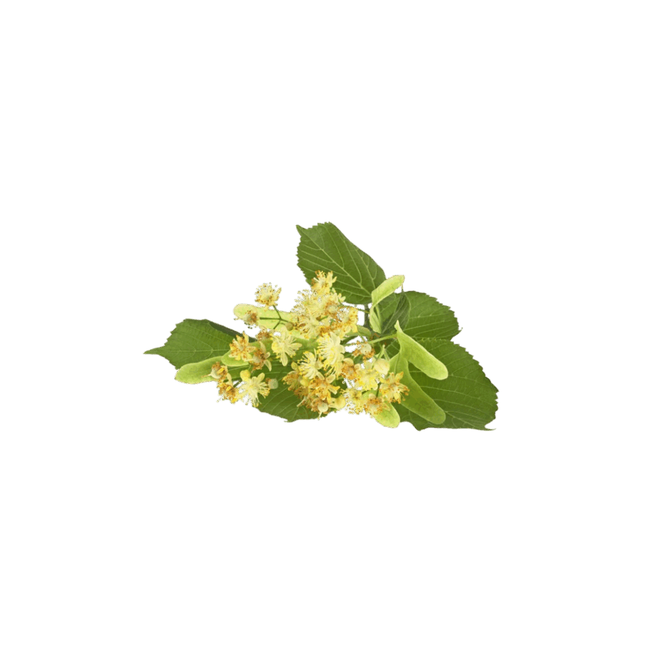 0901ollg-0e83-940x940.png