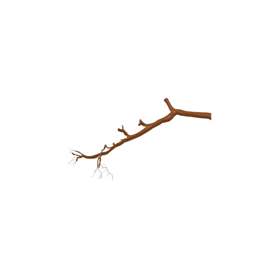 0901olm8-6c9b-940x940.png