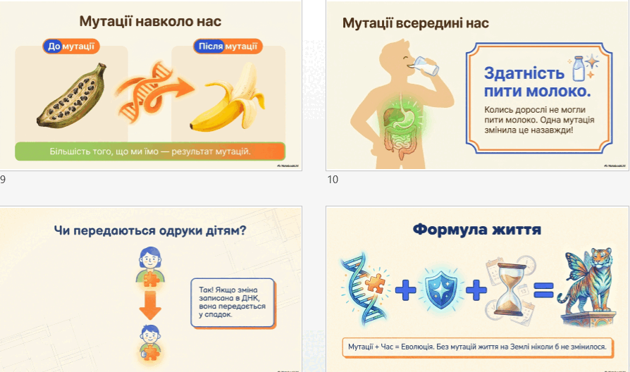 0901oout-26de-894x528.png
