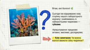 7 клас НУШ. Різноманітність тварин. Губки
