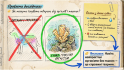 0901opln-68f8-247x139.png