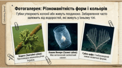 0901opma-ab53-249x140.png