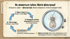 0901opmo-f8c4-239x135.png