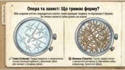 0901opmw-67ce-257x145.png
