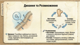 0901opnb-5f60-259x146.png