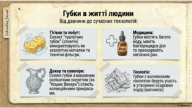0901opnq-5bc8-277x156.png