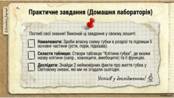 0901opo0-add6-254x143.png
