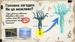0901oq8a-a27a-250x140.png