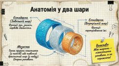 0901oq8u-86b5-244x137.png
