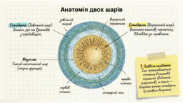 0901oq95-98e2-261x147.png