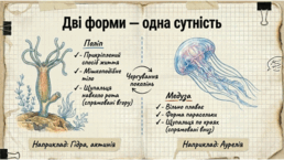 0901oq9o-c1d3-258x145.png