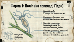 0901oq9v-1975-252x142.png