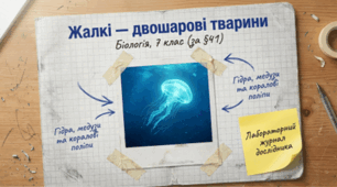 Жалкі — двошарові тварини