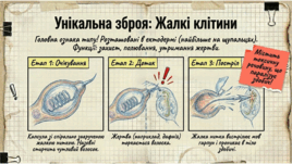 0901oqaf-e906-268x151.png