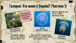 0901oqap-e5d2-269x151.png
