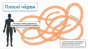 7 клас НУШ. Плоскі черви