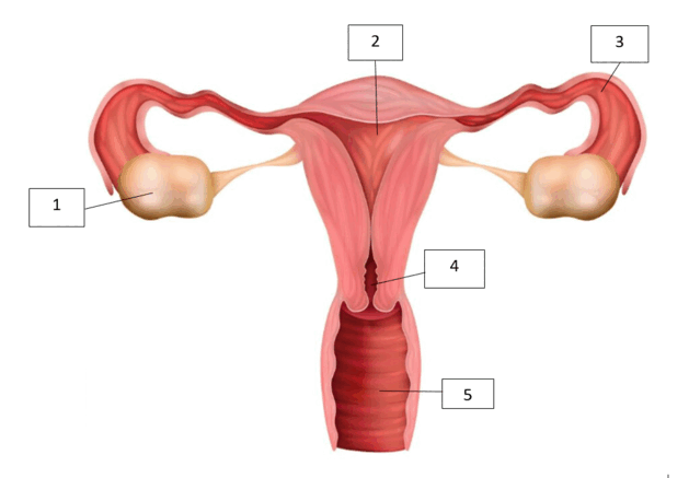 0901or70-9314-561x390.png