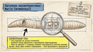 0901orfp-cb8e-182x103.png