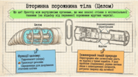 0901orfu-58d1-198x111.png