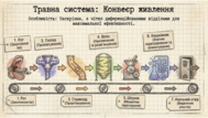 0901org2-e898-189x107.png