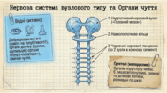 0901orgc-65c1-189x106.png