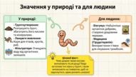 0901orgm-2698-191x108.png