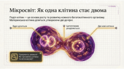 0901osnq-1fdf-242x136.png