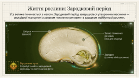 0901osnw-0637-274x154.png