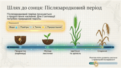 0901osnz-de28-240x135.png