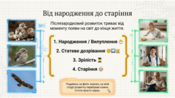 0901oso2-c961-256x144.png