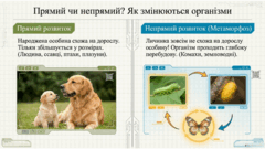 0901oso5-d993-240x135.png