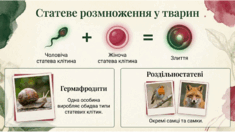 0901osol-cd56-235x132.png