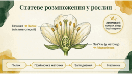 0901osom-23c3-259x146.png