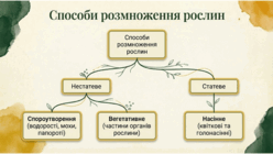 0901osoo-0d40-248x140.png